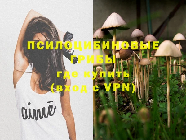 мдма Бородино