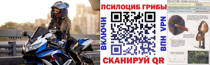 Галлюциногенные грибы ЛСД  дарнет шоп  Демидов 